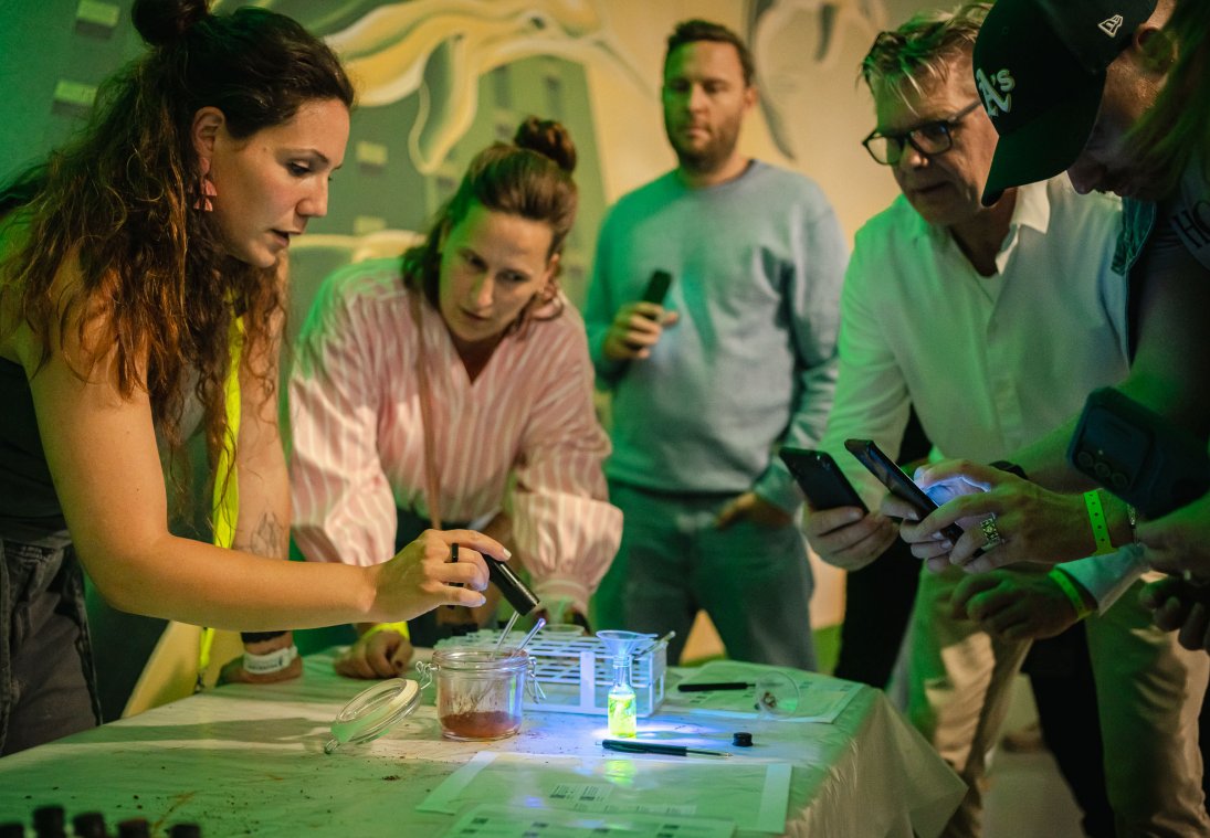 copyright Tom Cornille