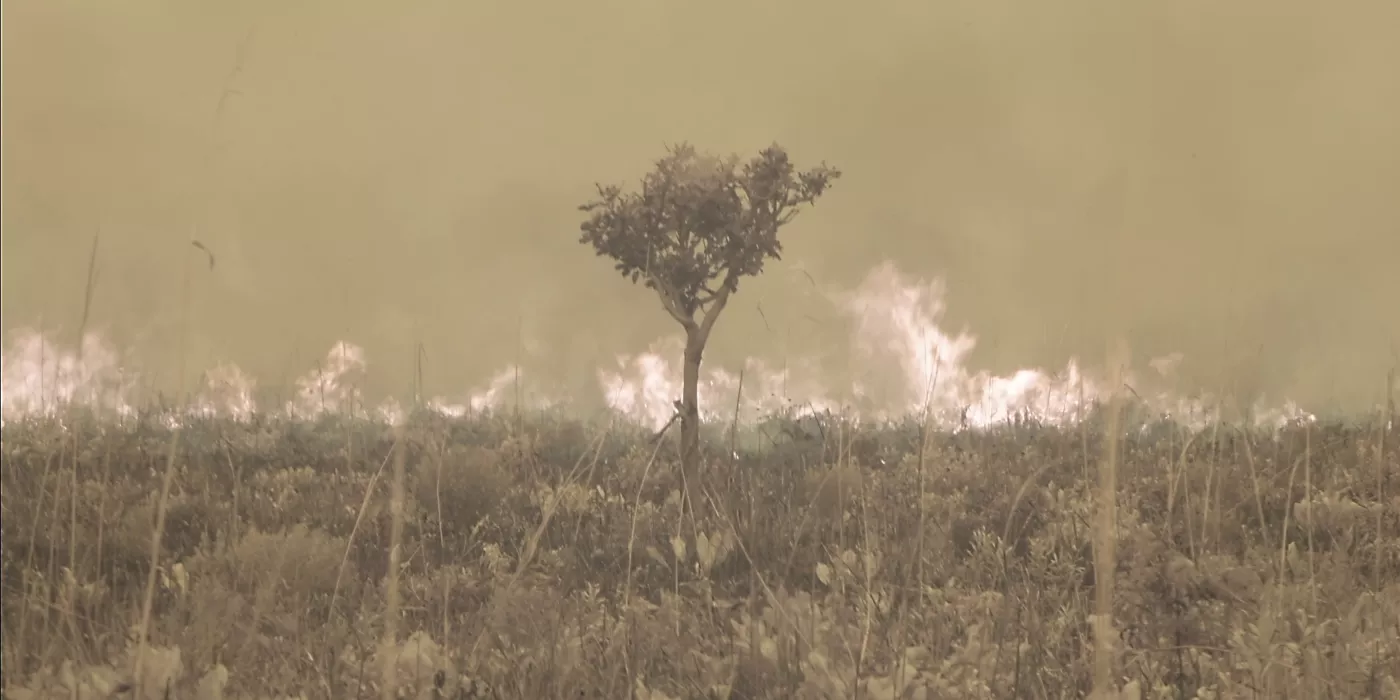 (c) Léonard Pongo (c) Léonard Pongo