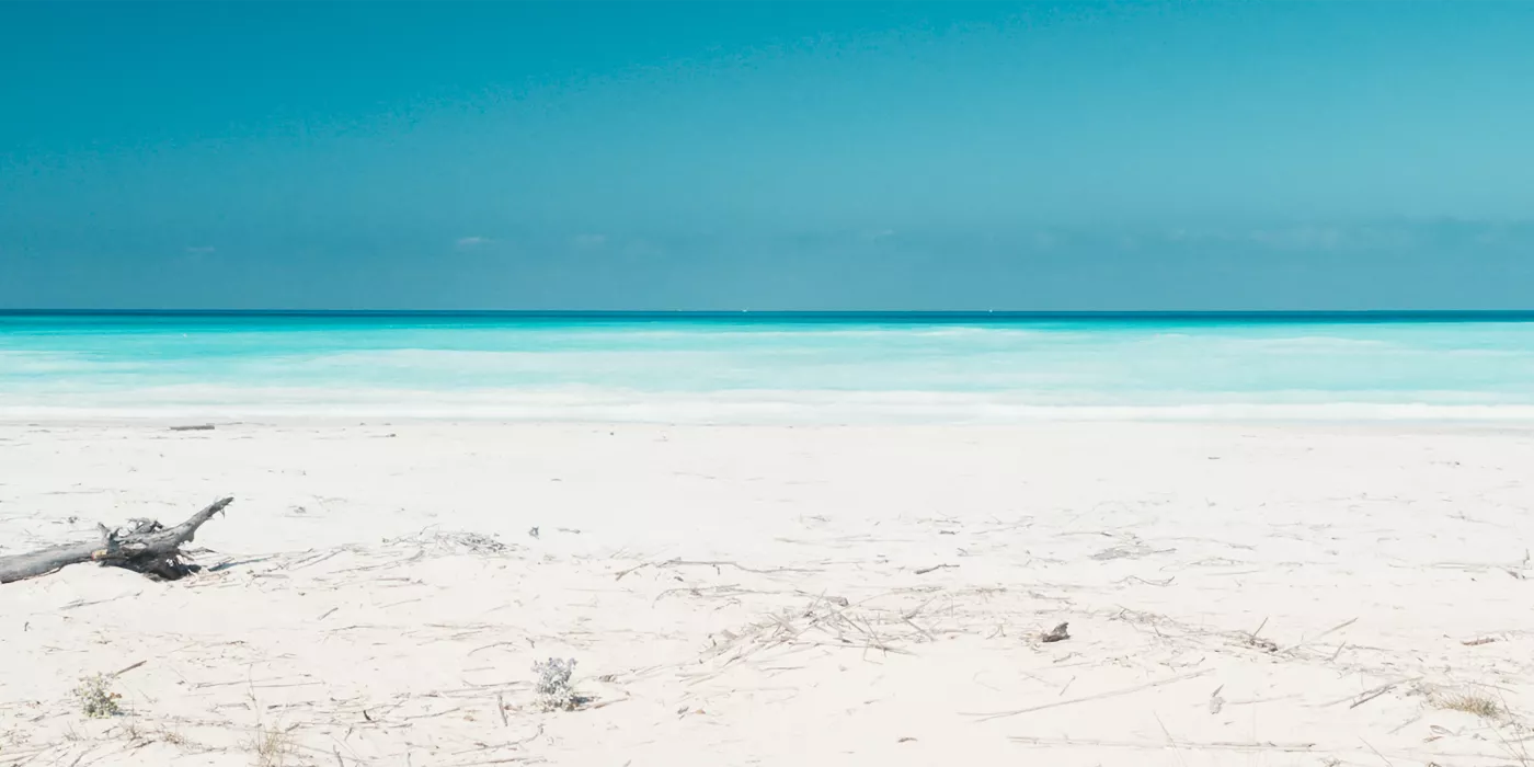 (c) Chloé Malcotti, Medusa (2021)