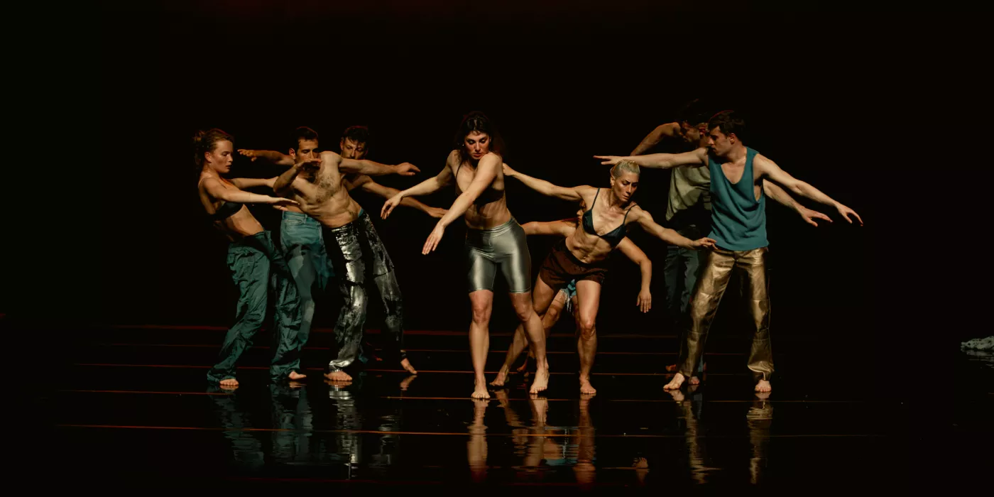 (c) Danny Willems (c) Danny Willems