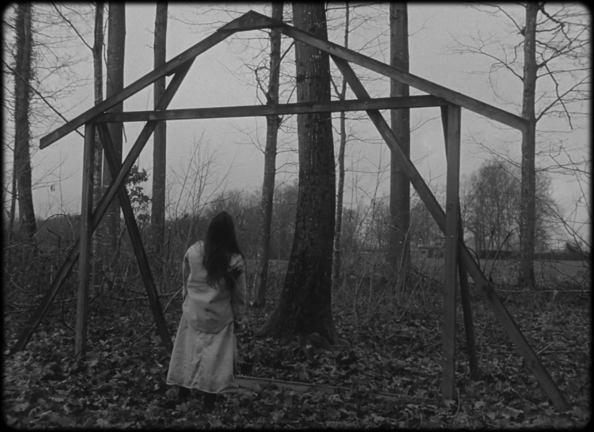 (c) Annik Leroy & Julie Morel (c) Annik Leroy & Julie Morel