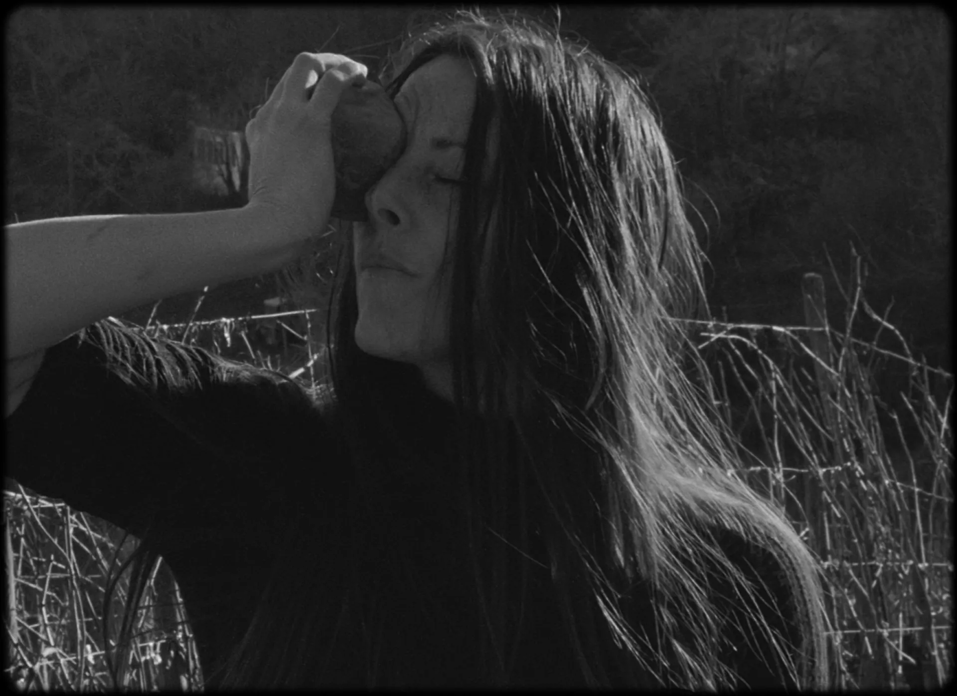 (c) Annik Leroy & Julie Morel (c) Annik Leroy & Julie Morel