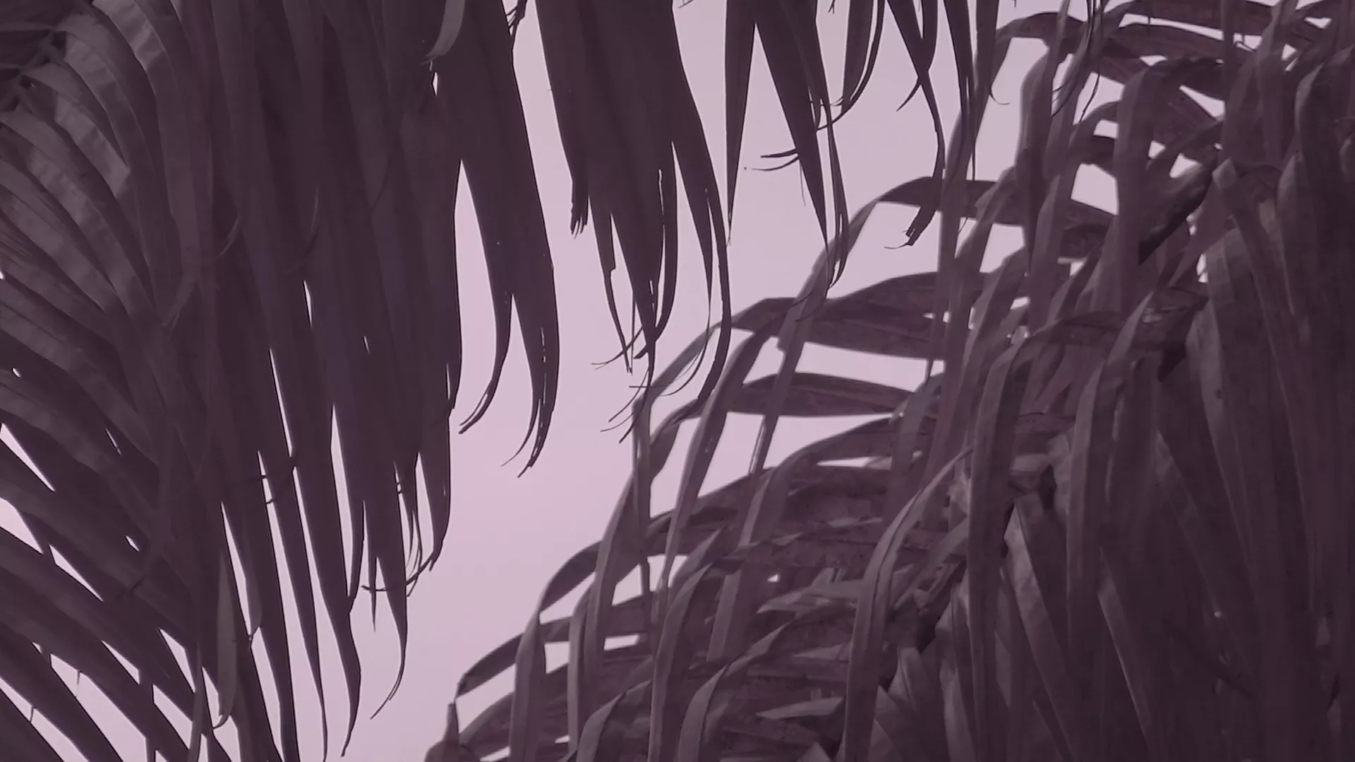 (c) Léonard Pongo (c) Léonard Pongo