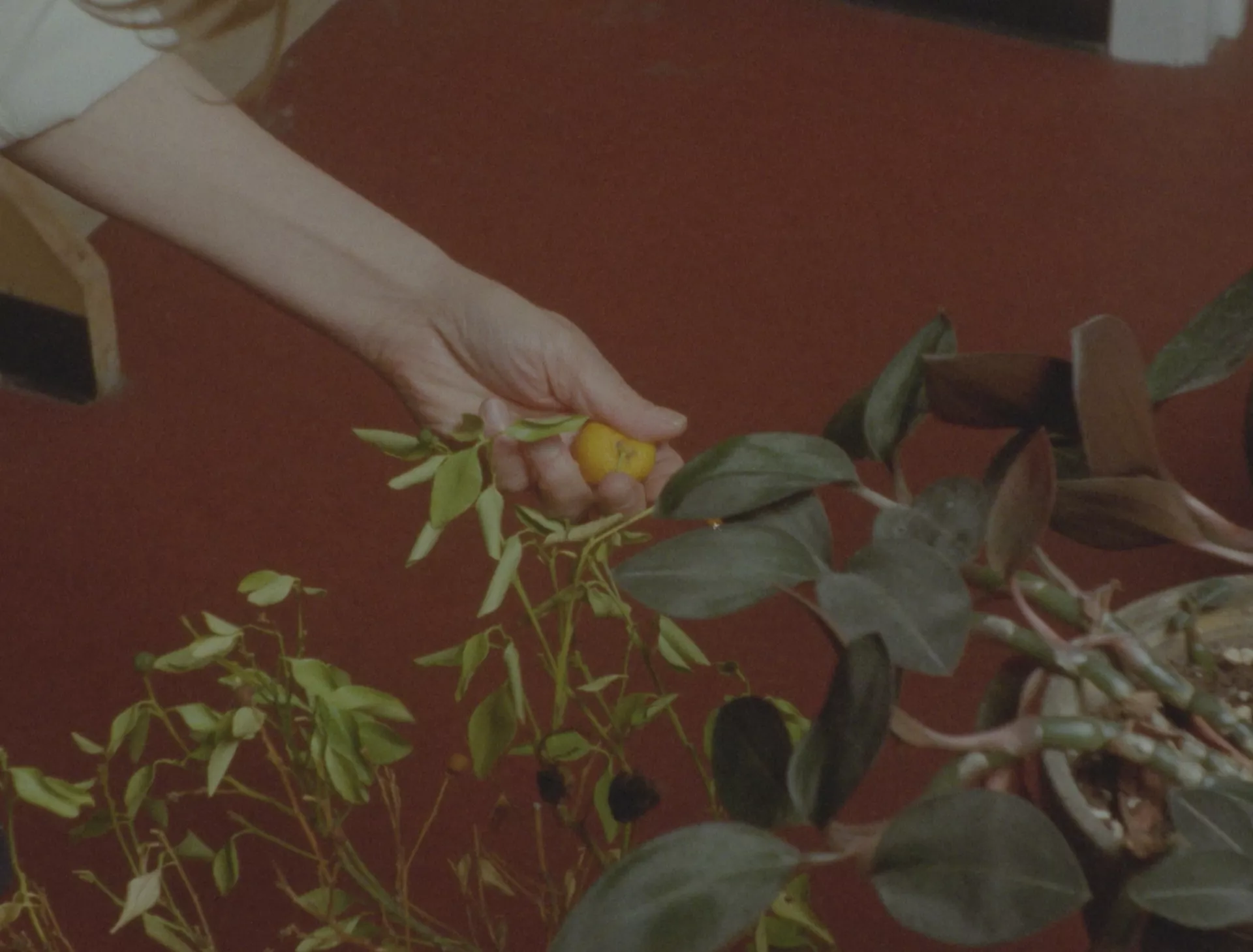 (c) Rececca Jane Arthur (c) Rececca Jane Arthur