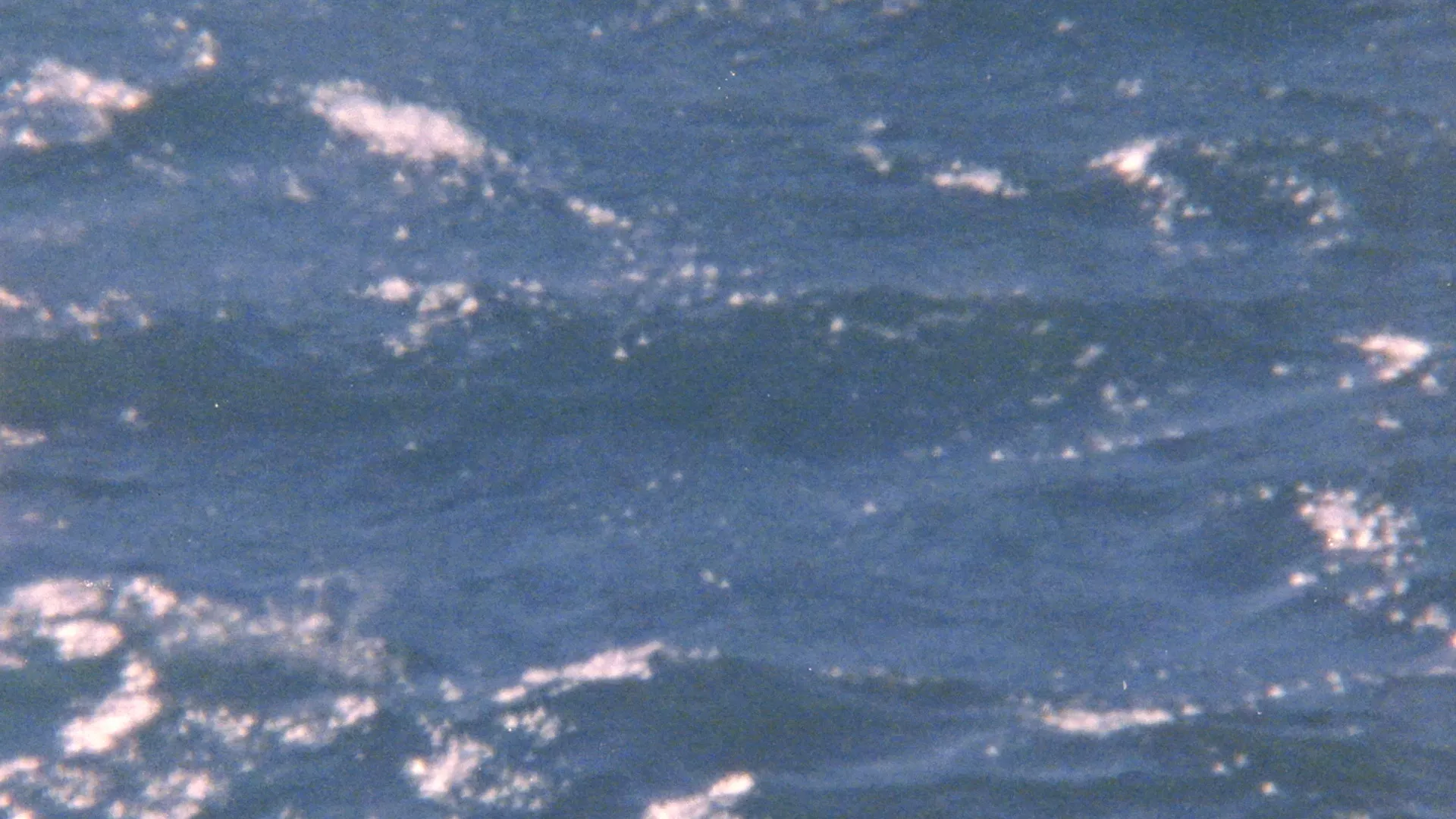 (c) Maaike Neuville (c) Maaike Neuville