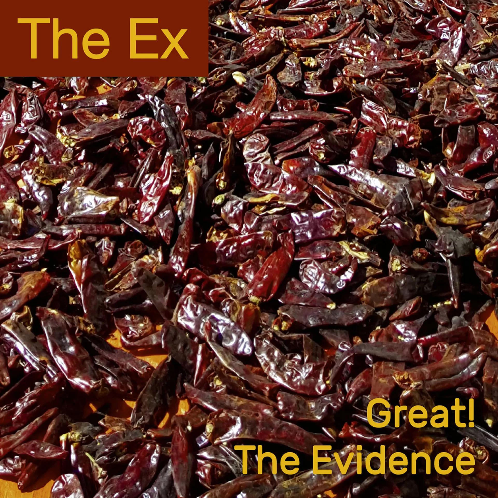 De recentste single van The Ex