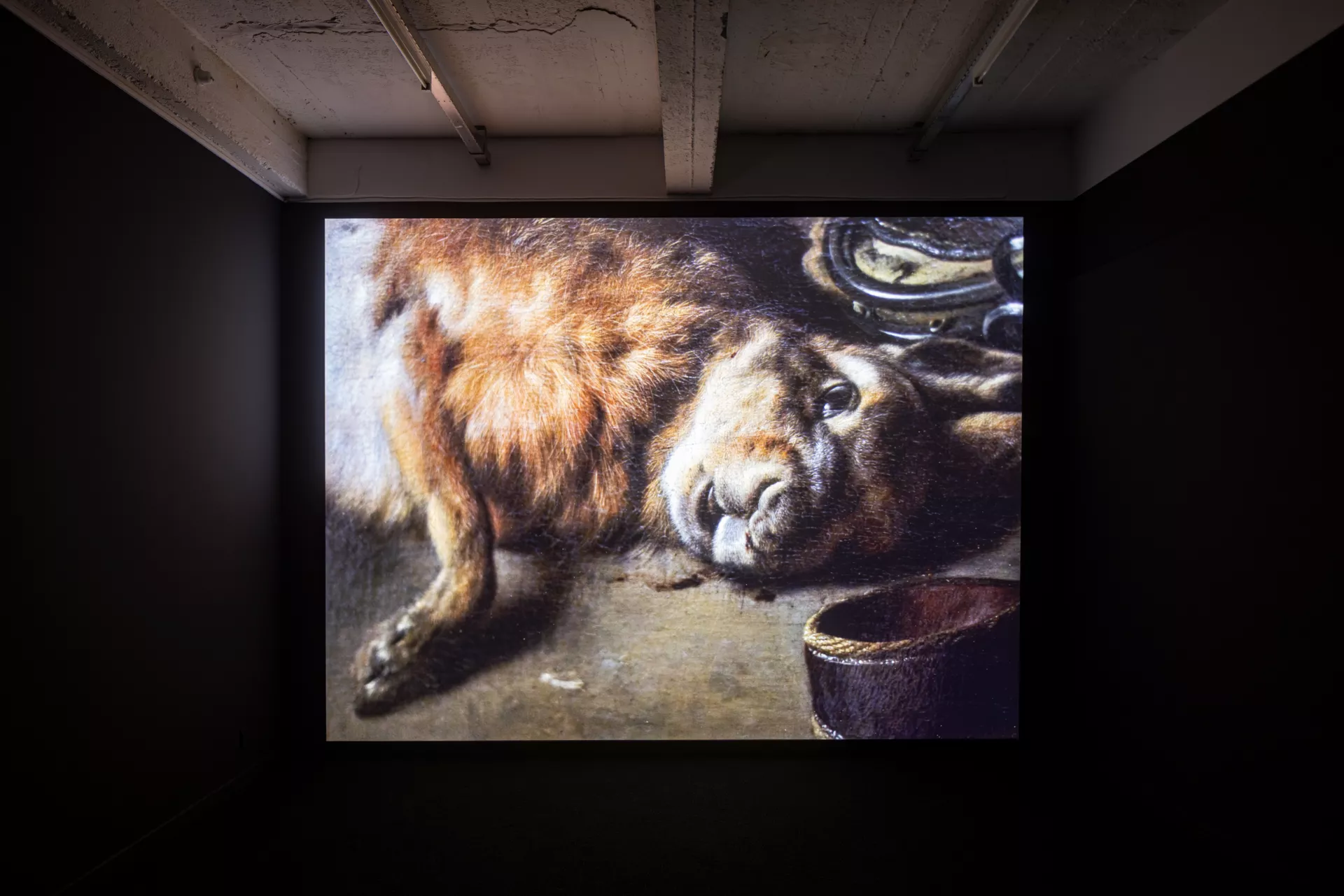 © Kristof Vrancken © Kristof Vrancken