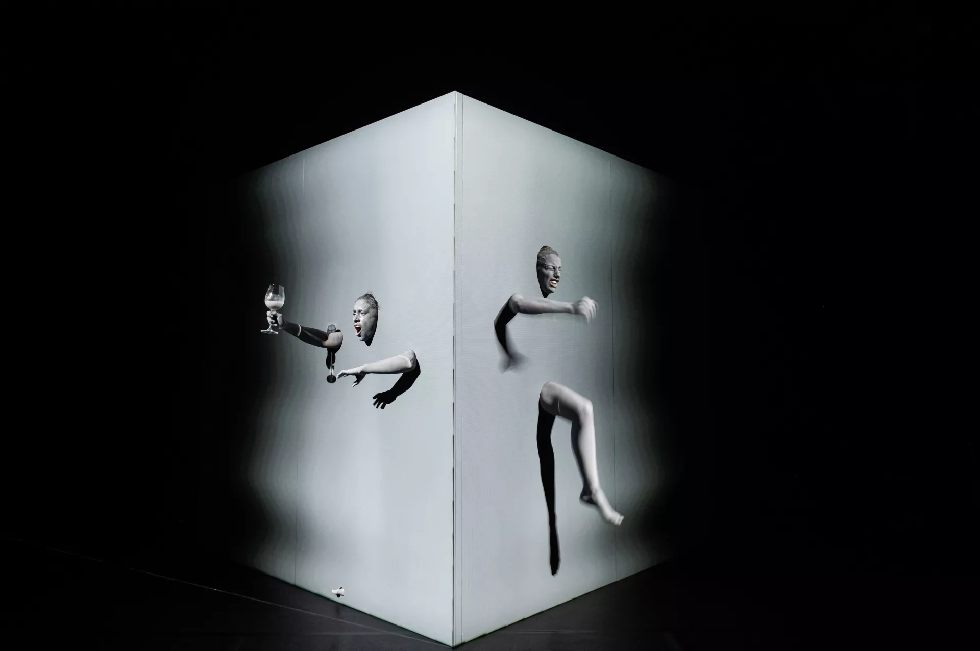 Muurvast © Bart Grietens Muurvast © Bart Grietens