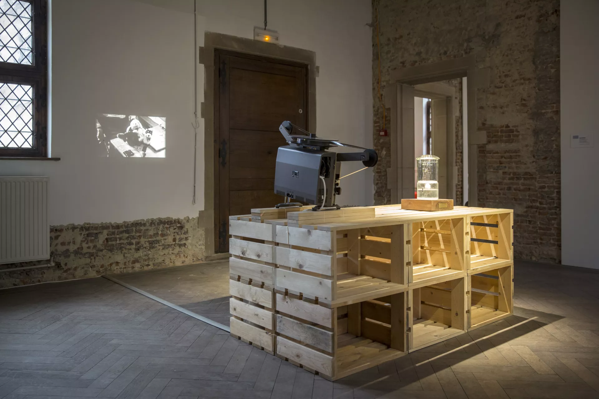 © A Dog Republic © A Dog Republic