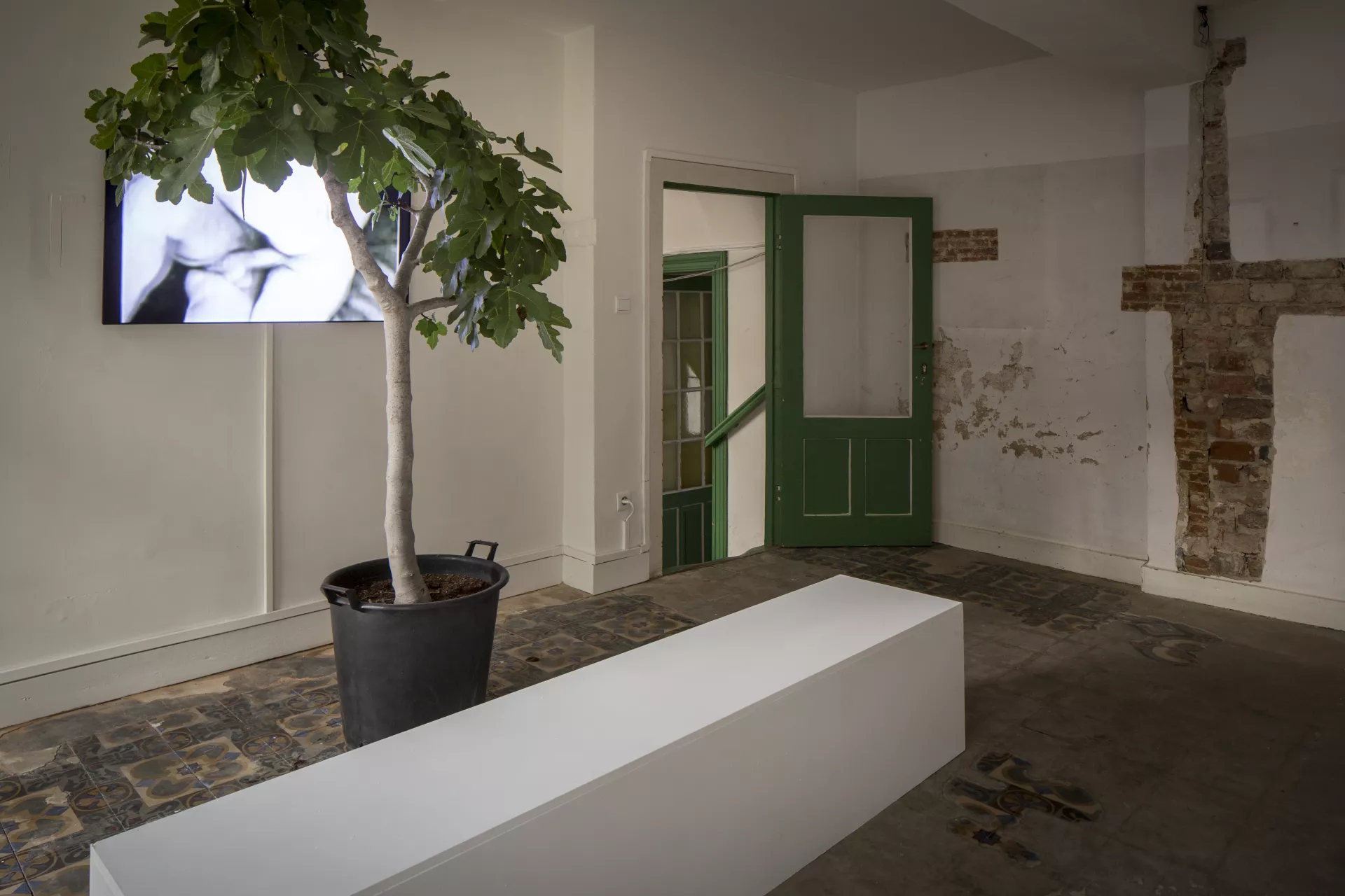 © Ana Prvački © Ana Prvački