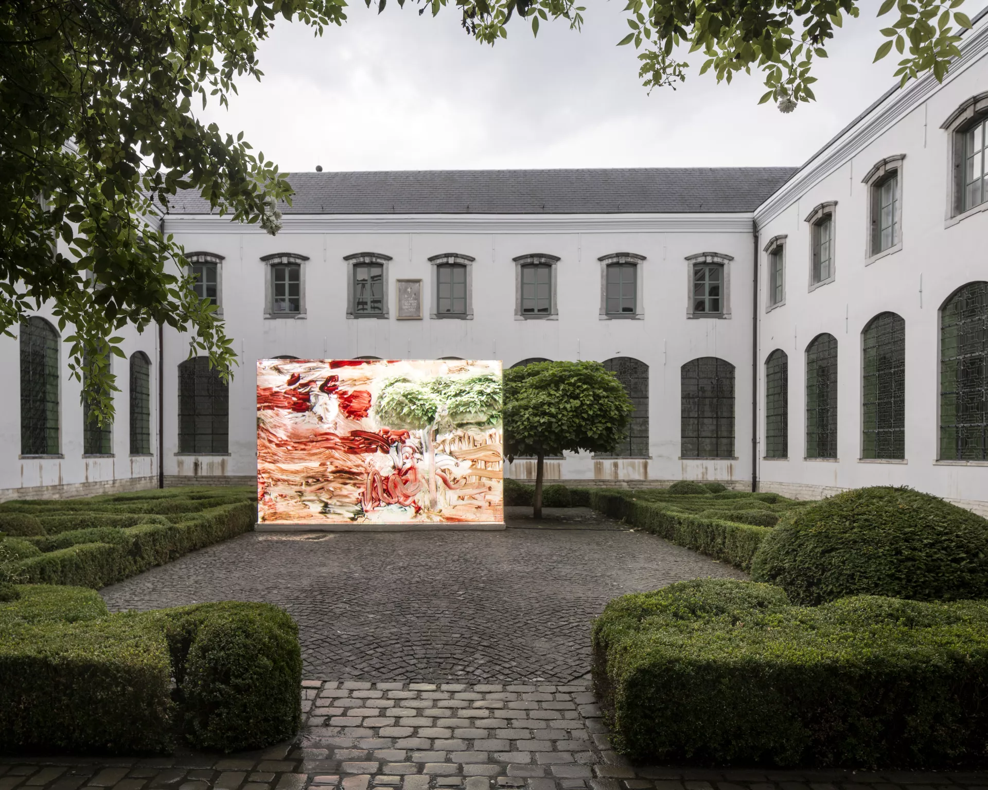 © Angel Vergara © Angel Vergara