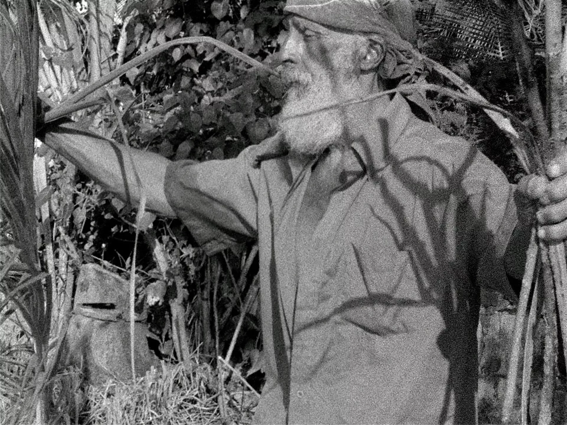 Beatriz Santiago Muñoz, Black Beach/Horse/Camp/The Dead/Forces, 2016, video still, 8’, courtesy of the artist Beatriz Santiago Muñoz, Black Beach/Horse/Camp/The Dead/Forces, 2016, video still, 8’, courtesy of the artist