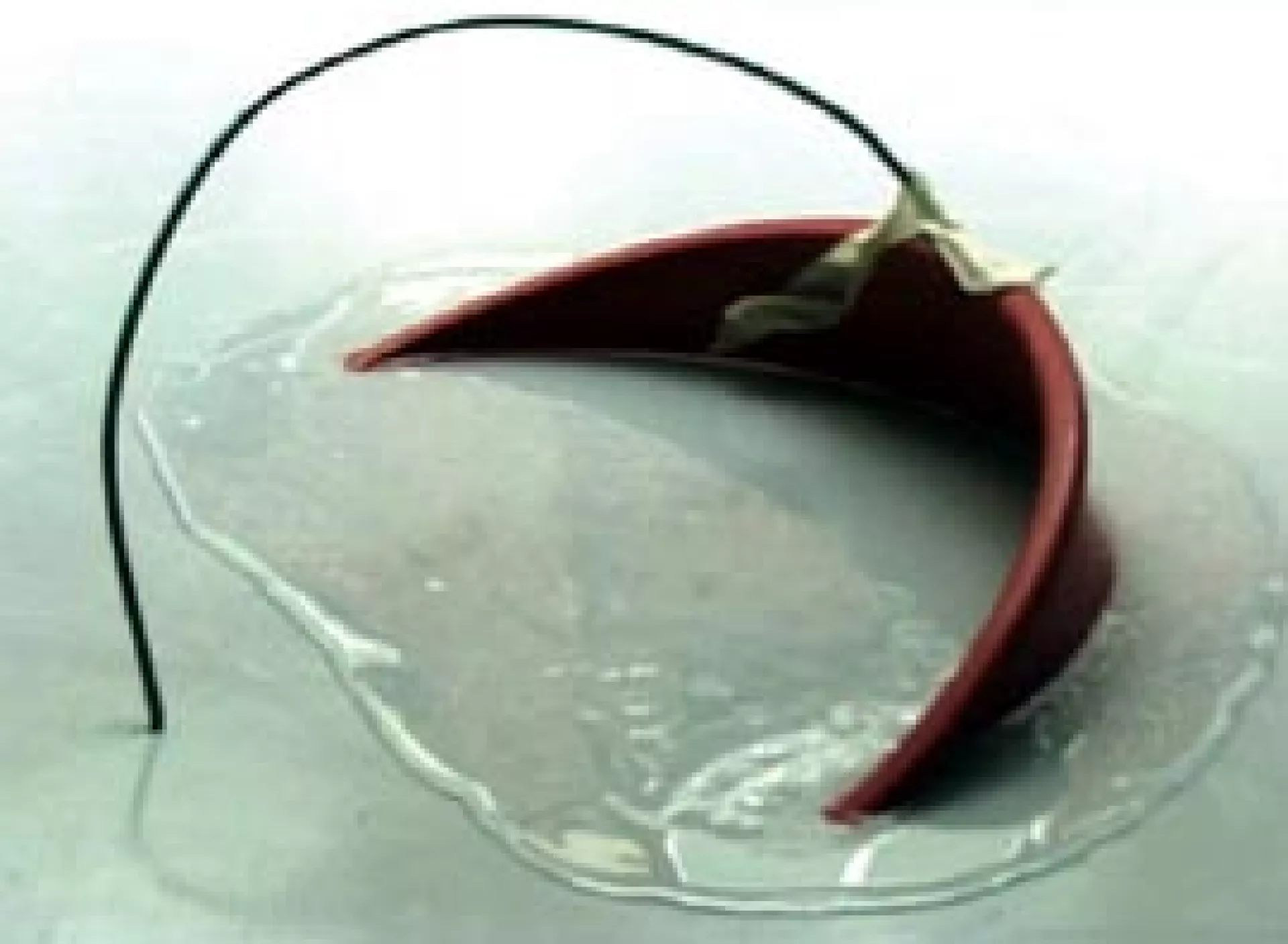 © Franciska Lambrechts & Honoré d'O © Franciska Lambrechts & Honoré d'O