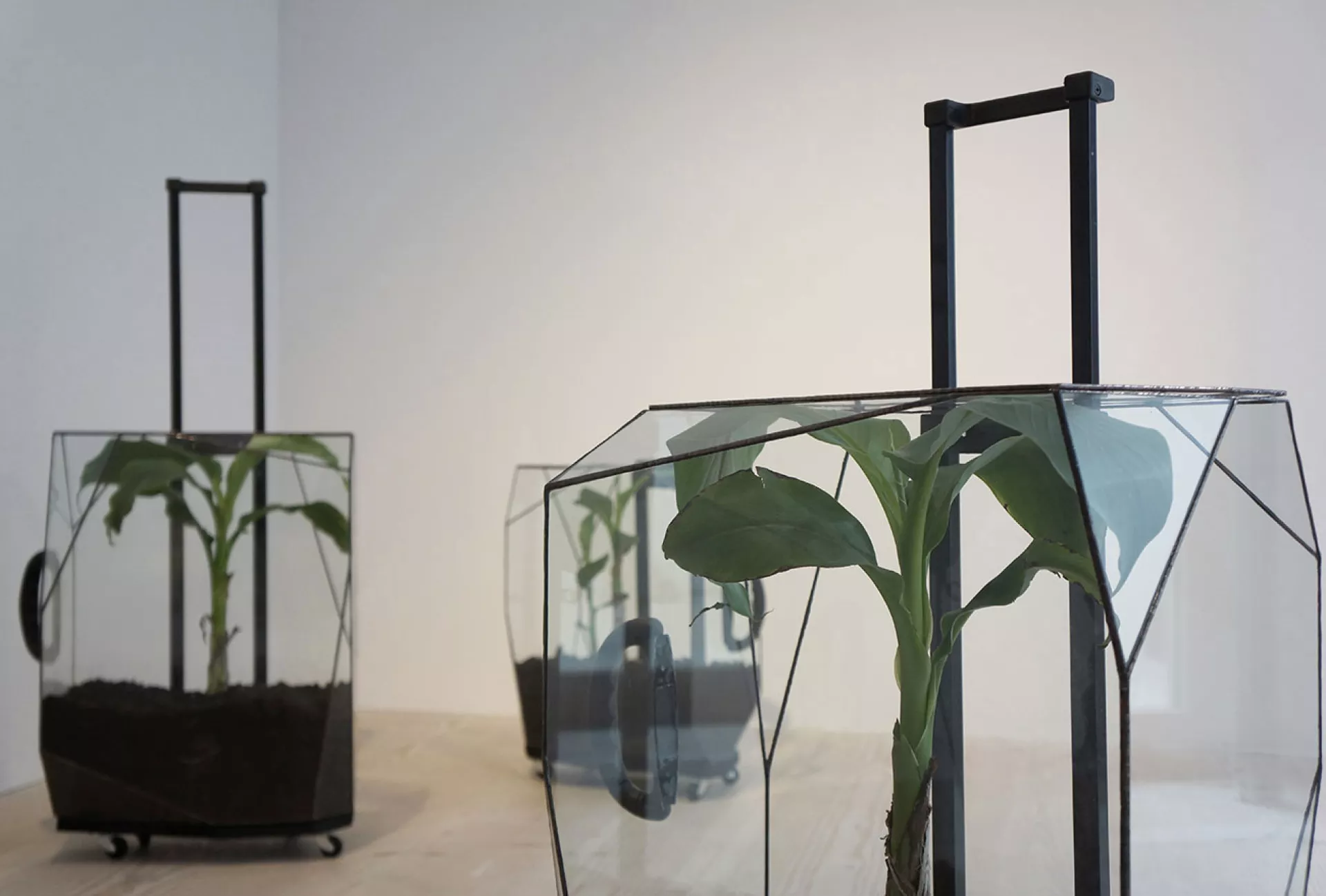 Cooking Sections, Cases of Confusion (50-40-20) (56-45- 25) (55-40-20), 2015, courtesy of the artists Cooking Sections, Cases of Confusion (50-40-20) (56-45- 25) (55-40-20), 2015, courtesy of the artists