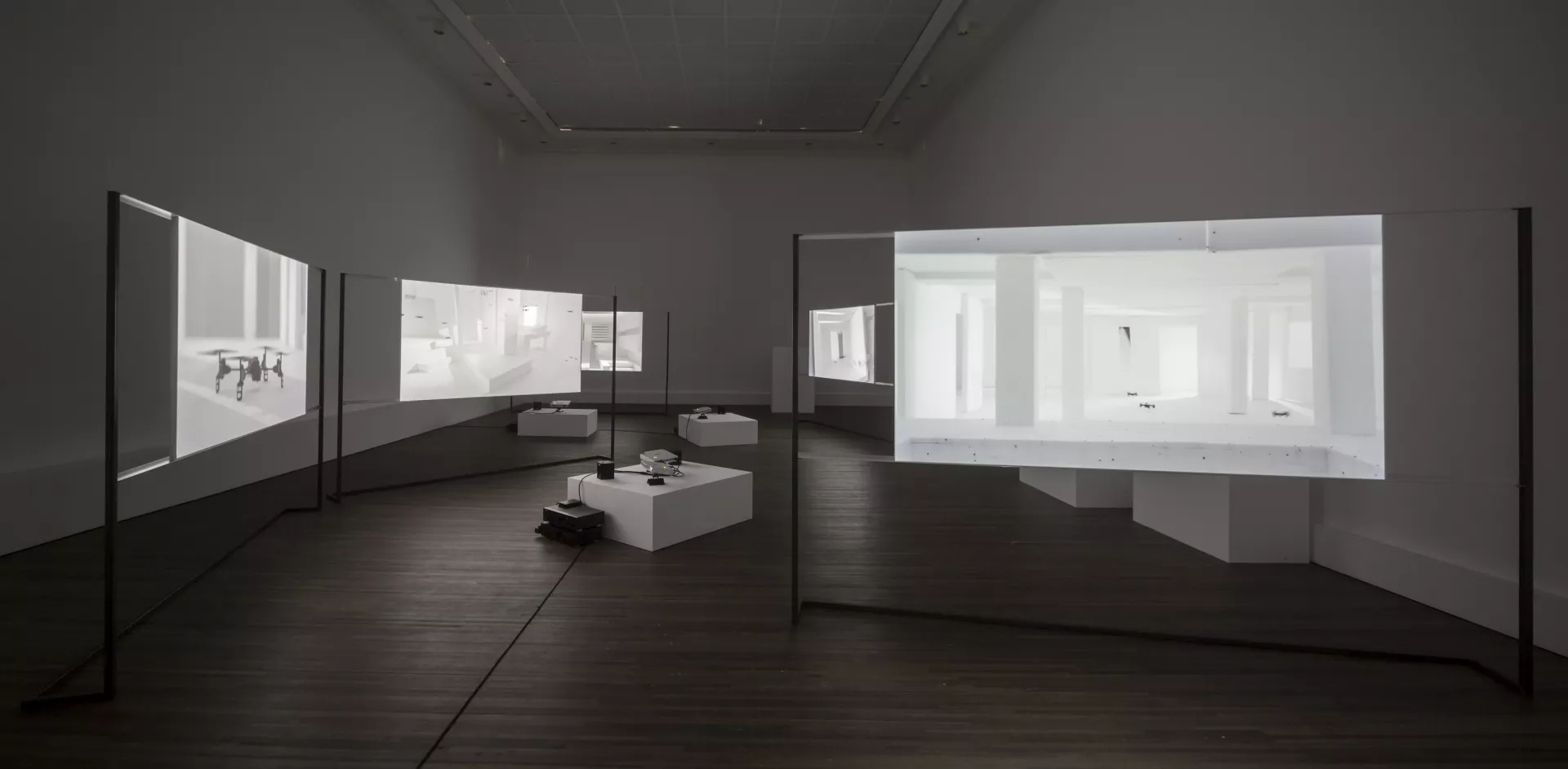 © Gilad Ratman © Gilad Ratman