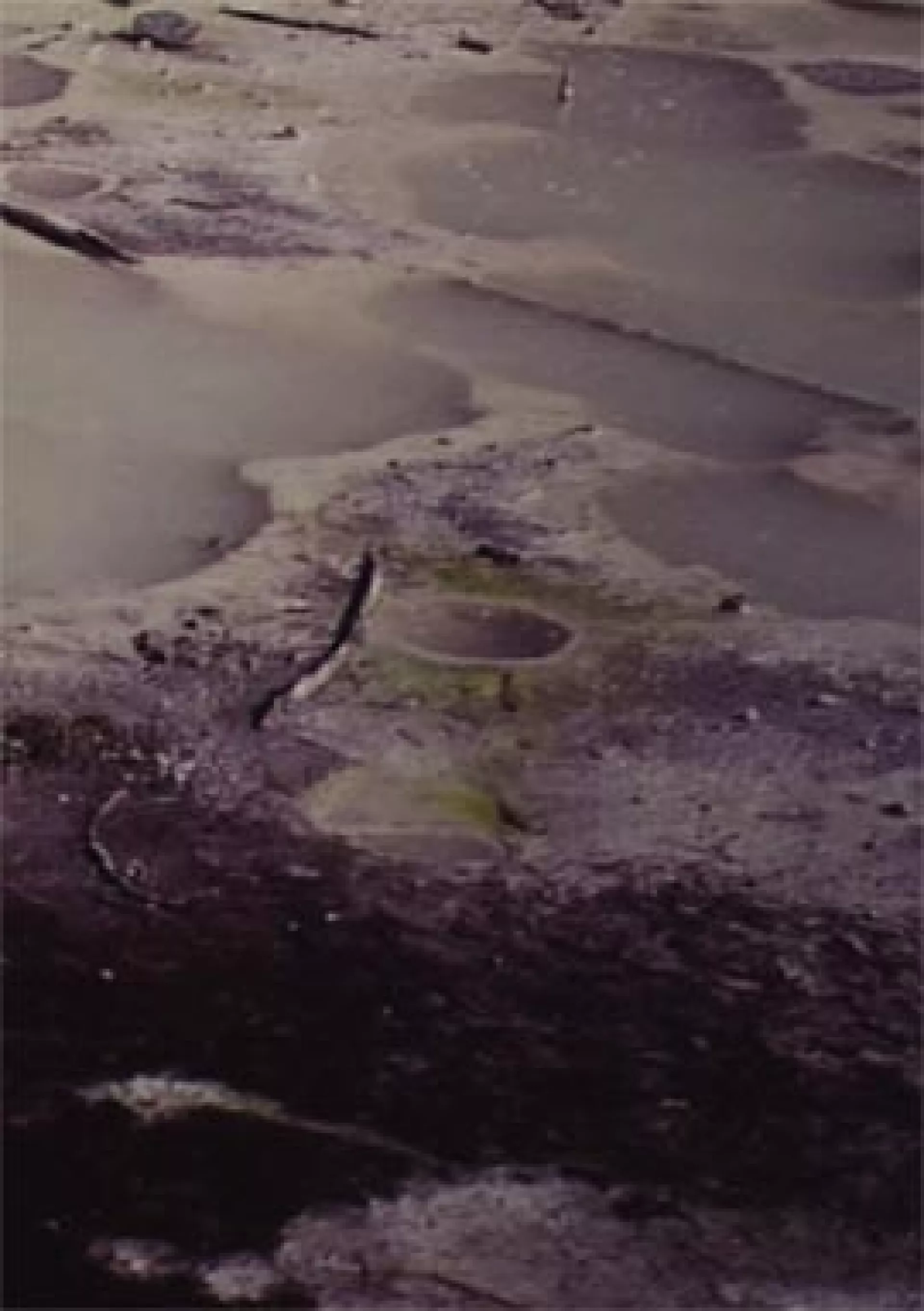 © Rob Johannesma © Rob Johannesma