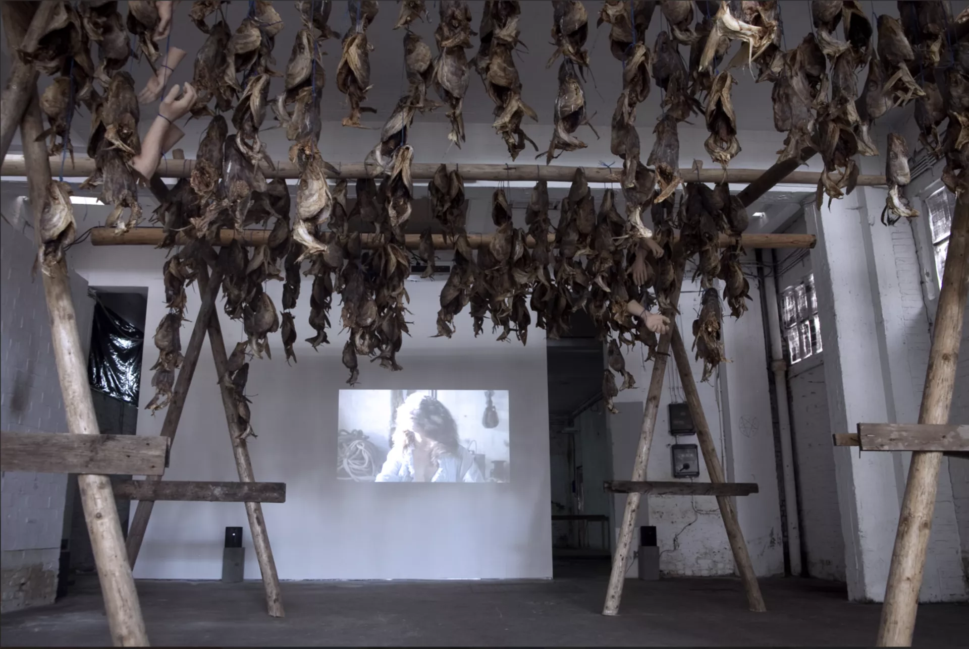 © Gabriela Fridriksdottir &amp; Lazyblood