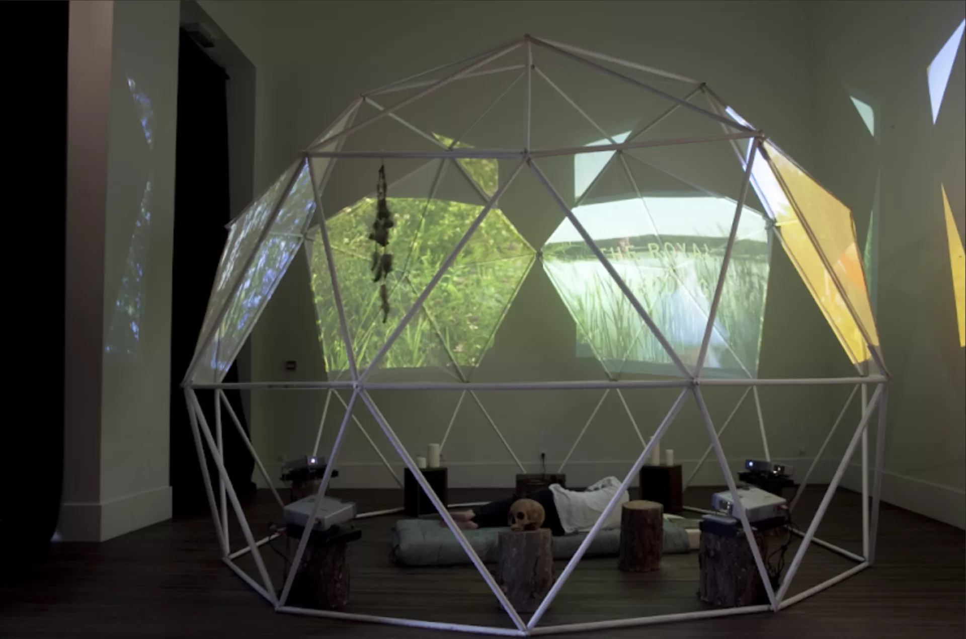 © Luis Jacob &amp; Noam Gonick