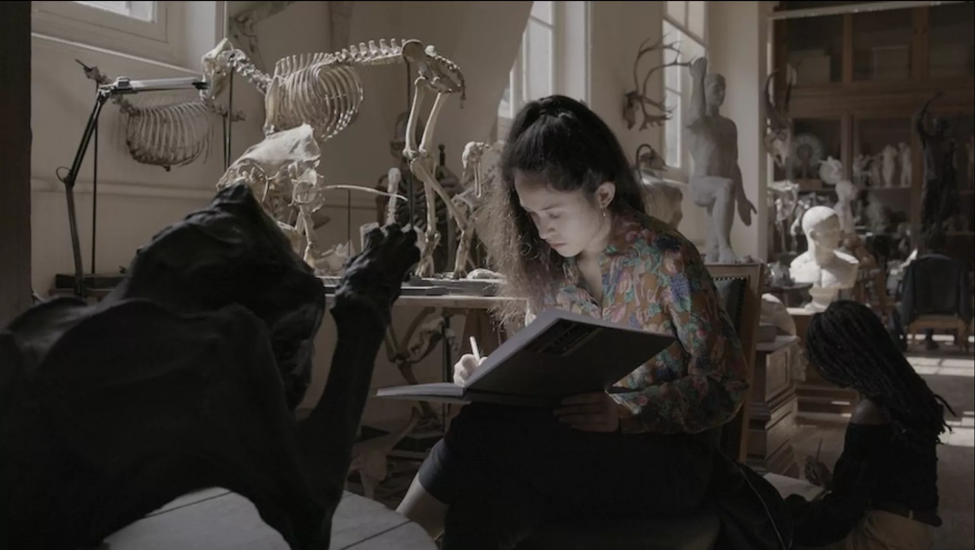 © Hikaru Fujii © Hikaru Fujii