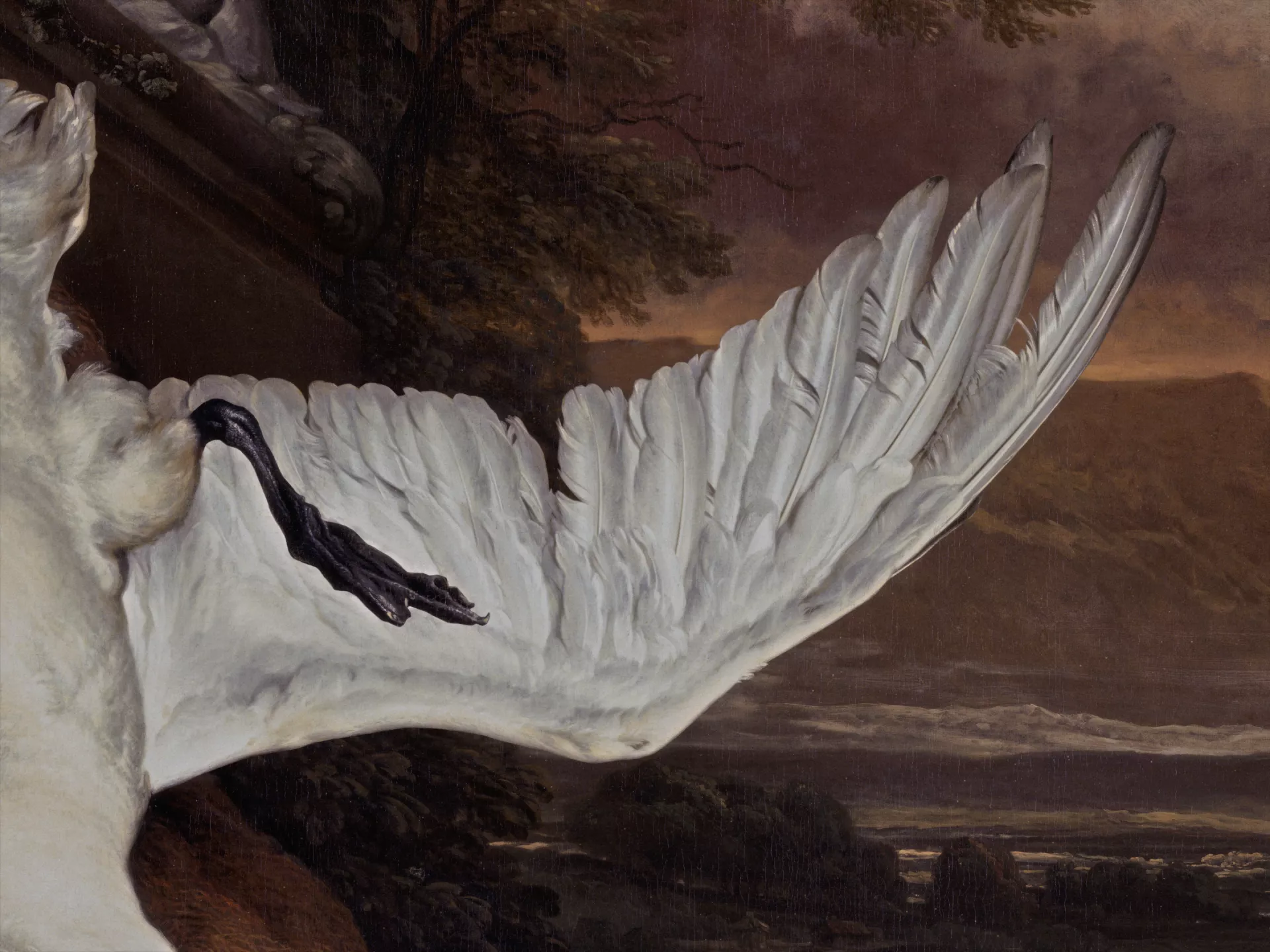 © Jelena Jureša © Jelena Jureša