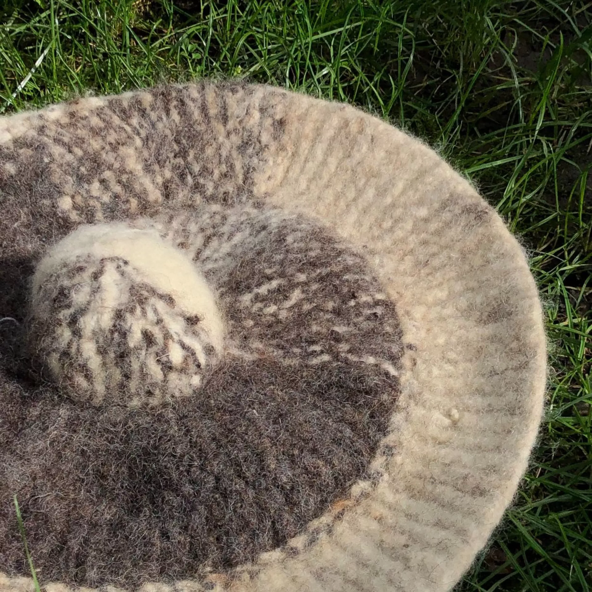 Erien Withouck, TIMEGARDEN (2026)