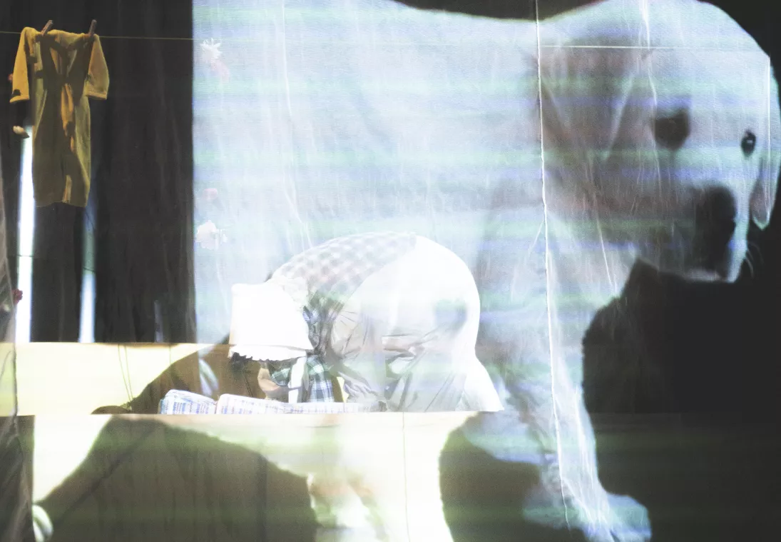 DE KORTVOORSTELLINGEN-TENTOONSTELLING