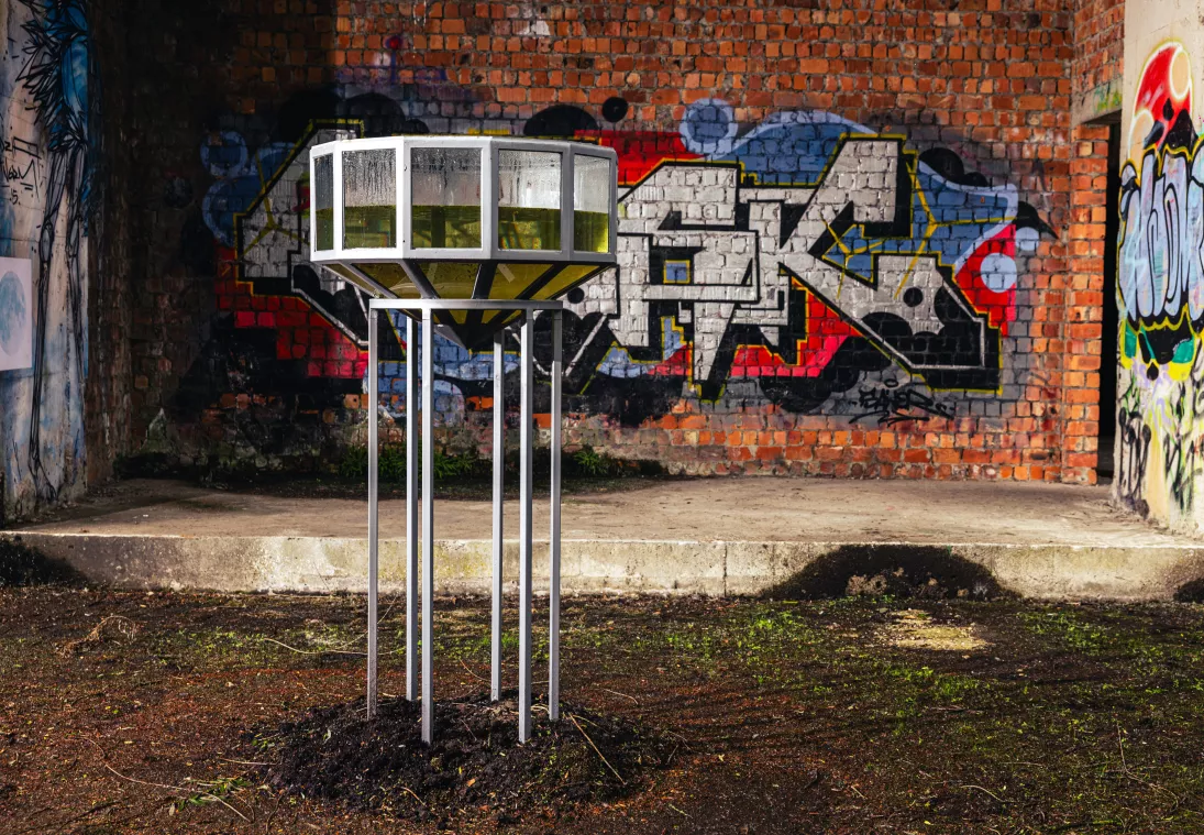 (c) Michiel Devijver