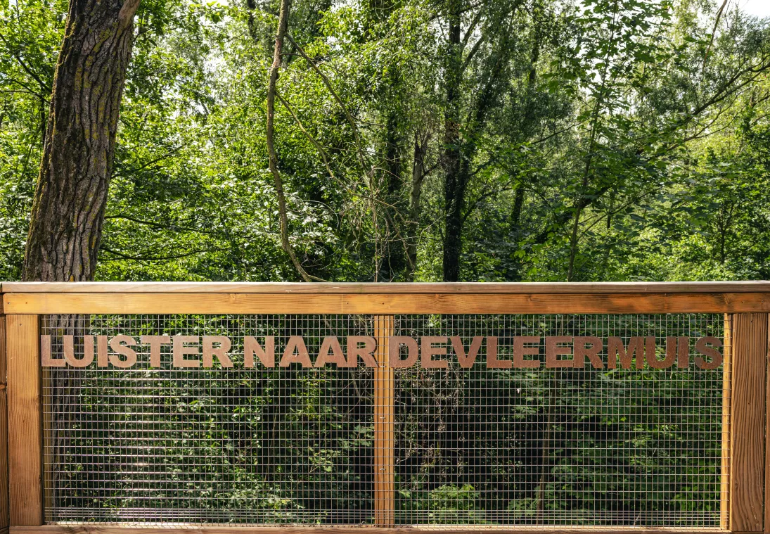 (c) Michiel Devijver