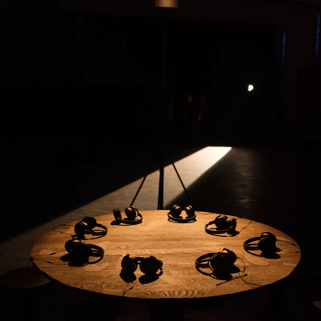 Inland Island (c) Tomas Uyttendaele