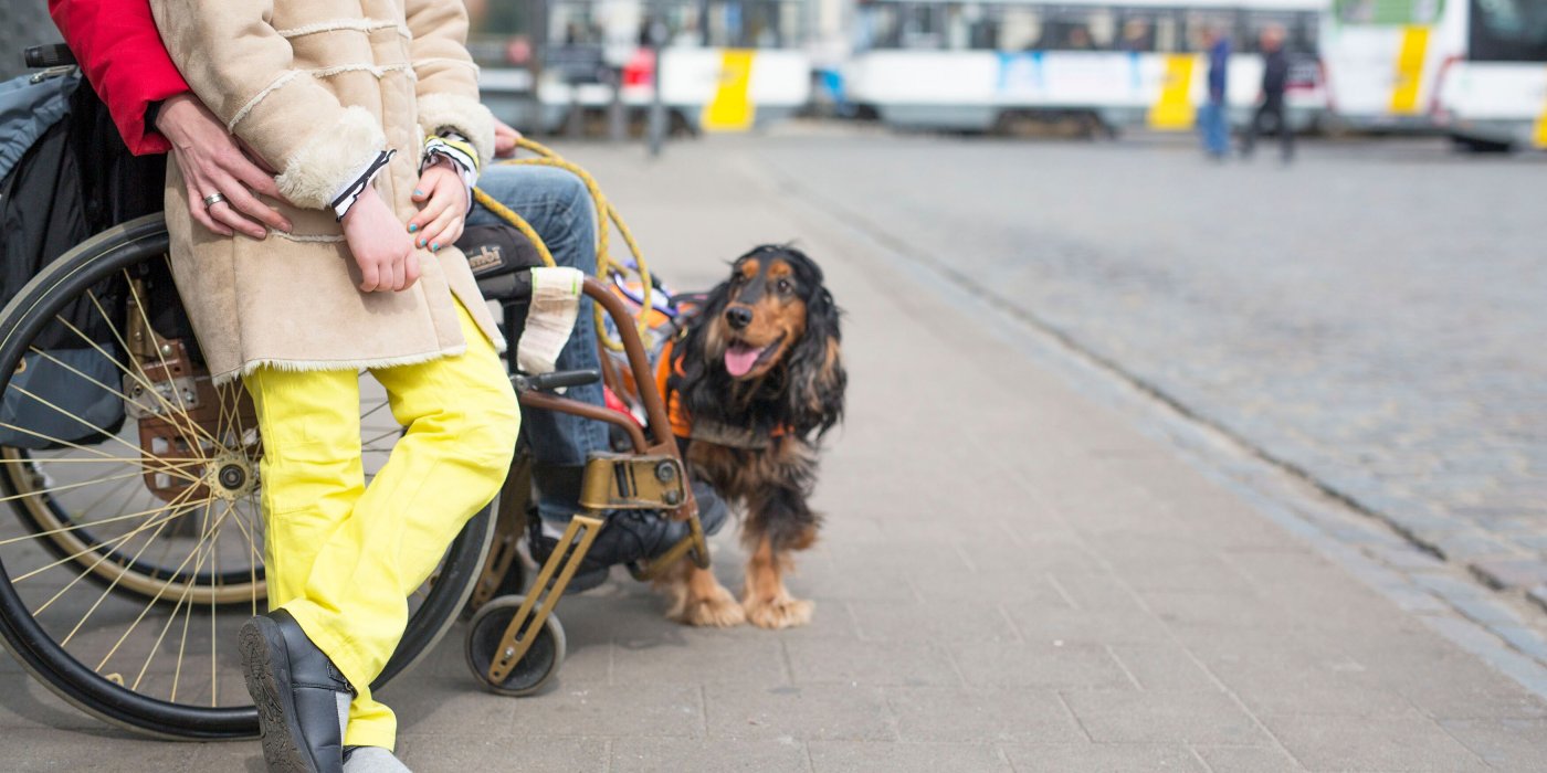 Rolstoelgebruiker met kind en hond