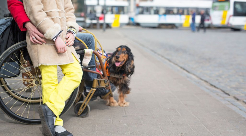 Mobiliteit Rolstoelgebruiker met kind en hond