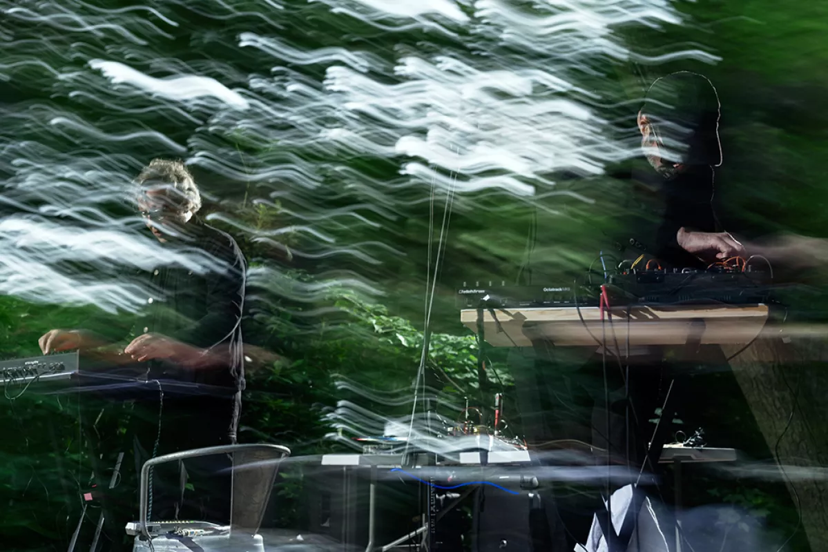 Photo © DVL (Dave Van Laere Photograph)