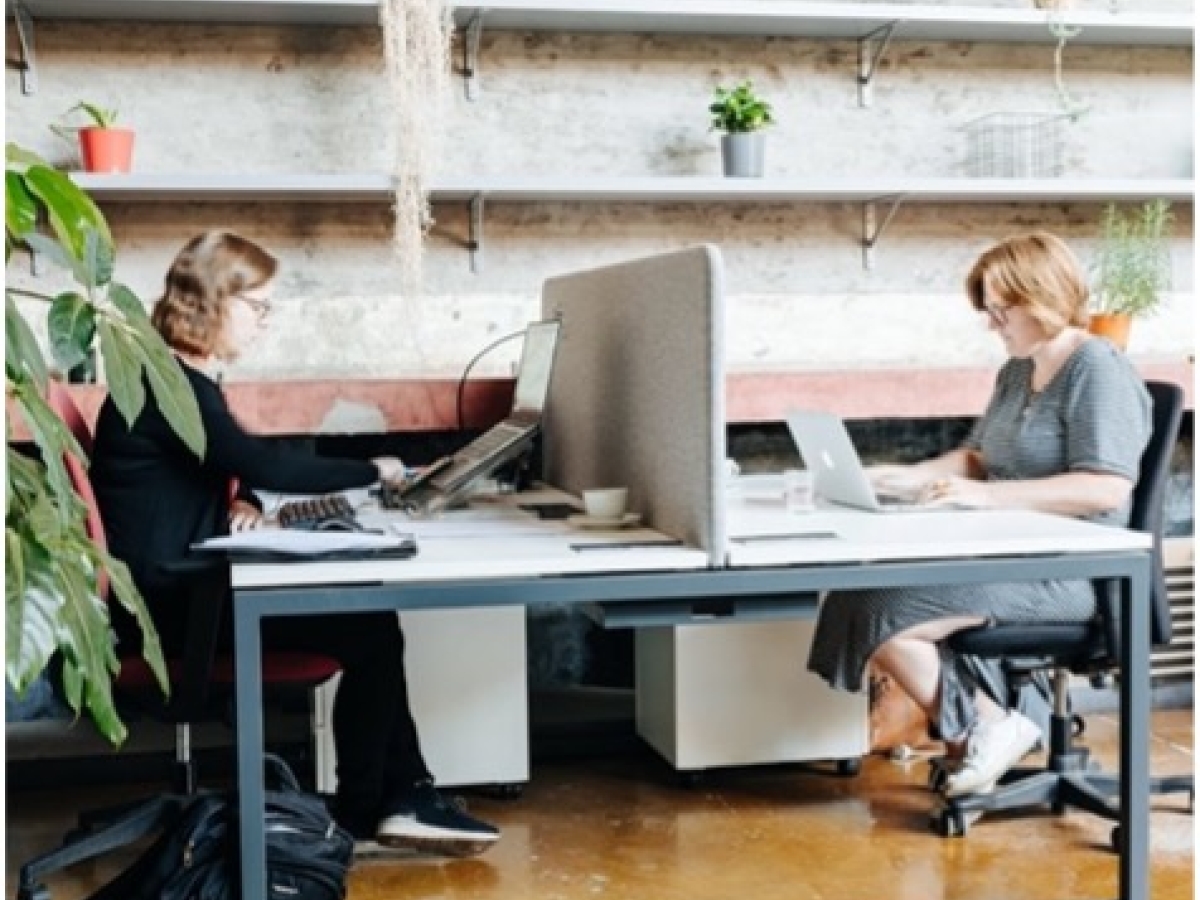 Co-workingspace Friday