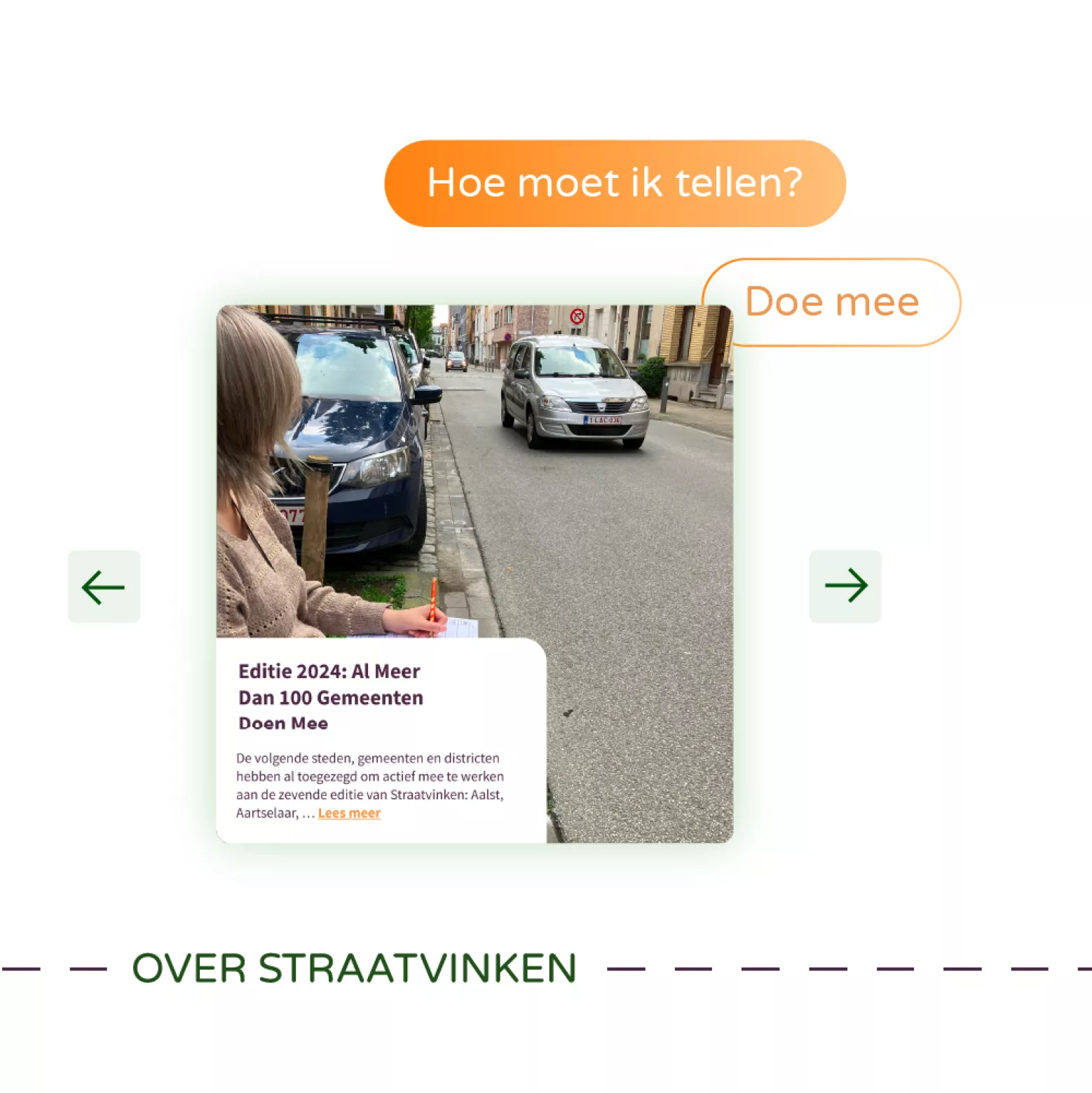 voorbeeld van Straatvinken-website